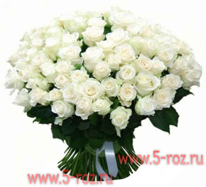 Сон белые розы букет. Красивый белый букет. Букет белых цветов. Красивый букет белых роз. Огромный букет белых роз.